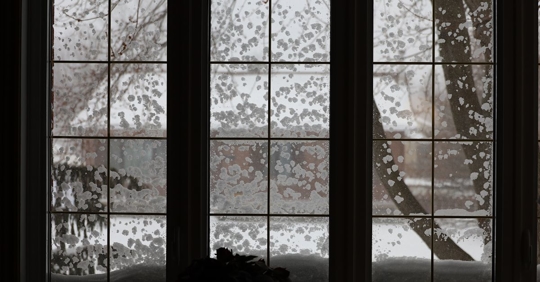 snowy view from inside home